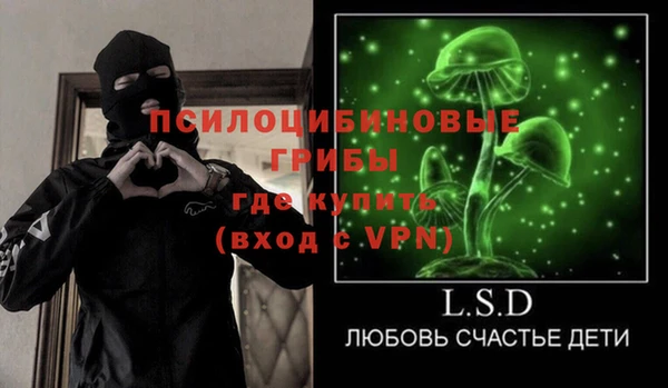 сатива Шали