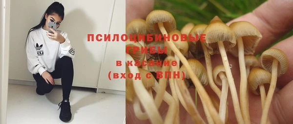 гашишное масло Гусиноозёрск