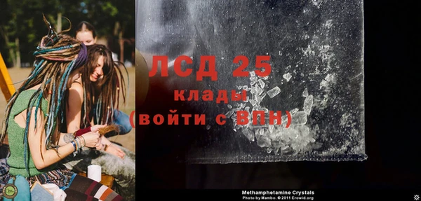 сатива Гусь-Хрустальный