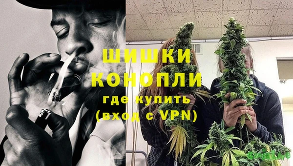 МДПВ Дмитров
