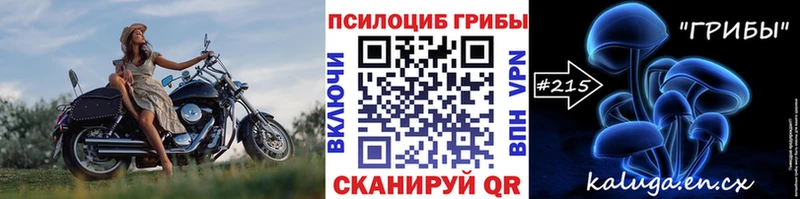 Галлюциногенные грибы Psilocybe Купить закладки Шали